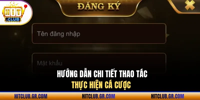 Chi tiết cách thực hiện cá cược trên hệ thống